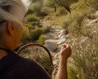 Hiking boots, backpack, and map on a limestone wall amid wild garrigue herbs, with a hiker preparing in the background in soft Languedoc morning light