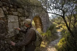 Elderly hiker inspects moss-covered medieval stone arch on narrow path, surrounded by wild garrigue and soft Languedoc afternoon light
